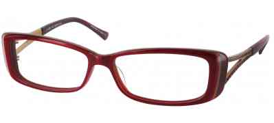 judith leiber frames