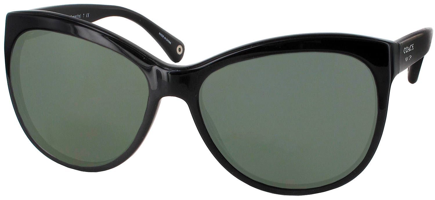 Coach sunglasses hc8055 sales