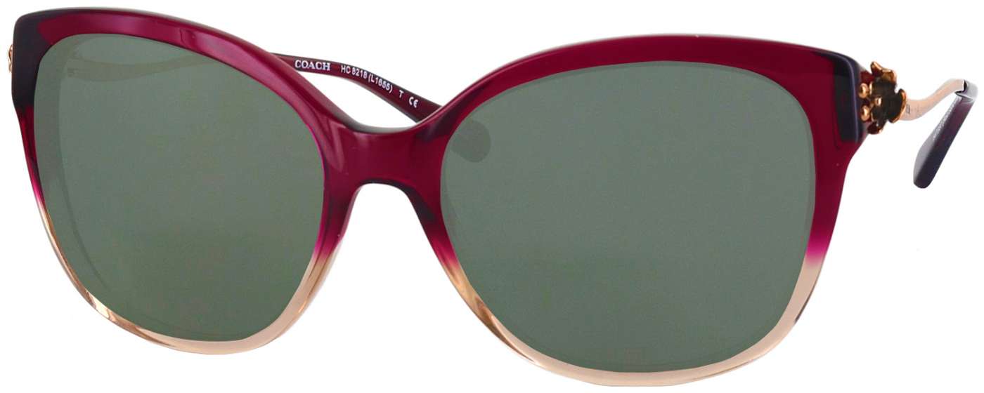 Coach HC 8218 Reading Sunglasses
