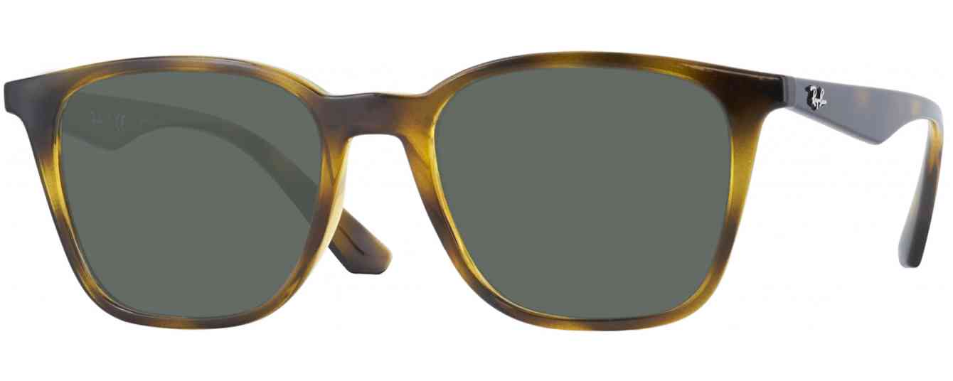 RayBan Progressive Reading Sunglasses