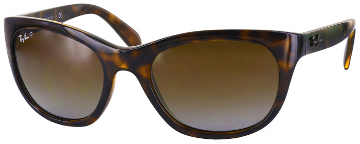 Ray-Ban 4216 Sunglasses | ReadingGlasses.com